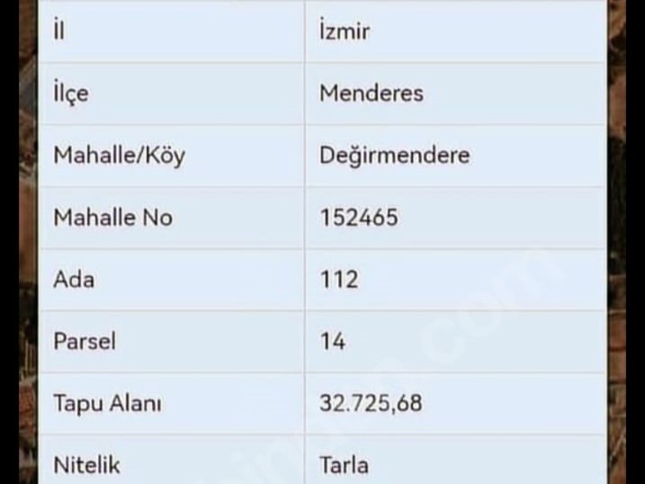 Çınar Gayrimenkul